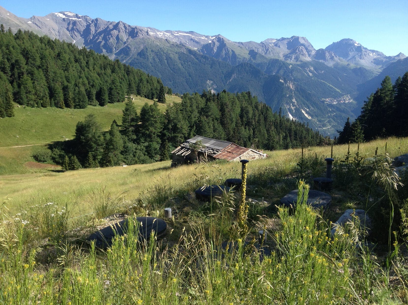 BIOROCK installation in the Alps