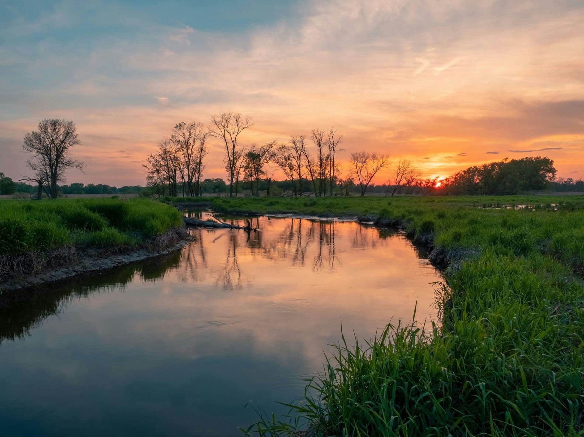 wetlands